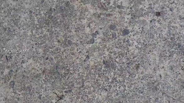 儿童玩具车,消防车,救护车和雾炮车