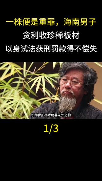  一株便是重罪,海南男子贪利收珍稀板材,以身试法获刑罚款得不偿失#科普#动物科普#真实事件#植物科普