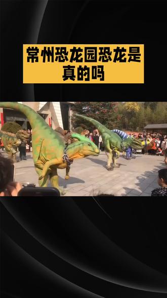 常州恐龙园的恐龙是真的吗?#常州恐龙园