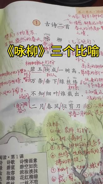 二年级语文《咏柳》三个比喻,孩子一听就懂。
#二年级语文 #小学语文 #古诗讲解