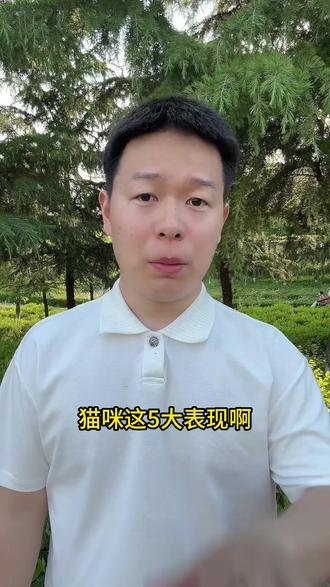 猫咪突然间行为异常,我们就要打起十二分精神了 #养猫经验分享 #新手养猫 #狂犬病毒检测卡 #猫咪健康 #养猫人