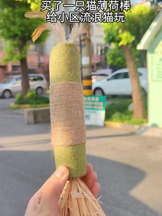买了一只猫薄荷棒给小区流浪猫玩,看看他们有什么反应 #猫咪的迷惑行为 #猫薄荷棒 #猫咪玩具 #猫咪玩具种草 #有所事事的暑假 