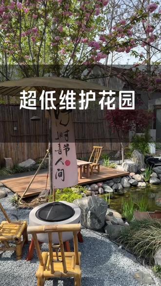 北方低维护花园植物 北方低维护花园植物生长情况#花园生活#淄博小院 #乡村小院 #北方花园植物 #创作者扶持计划