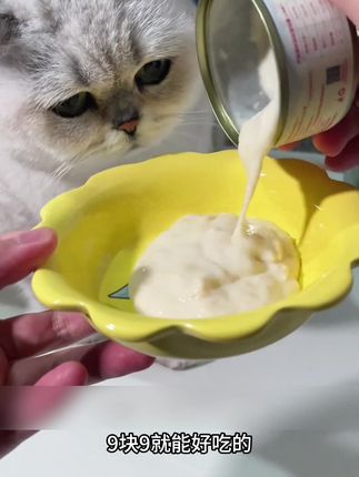 养猫的家长千万别错过喜喵家的这个尝鲜大礼包!营养补水又美味,大猫小猫都爱吃#喜喵 #猫罐头#养猫人 #萌宠好物#宠物用品推荐