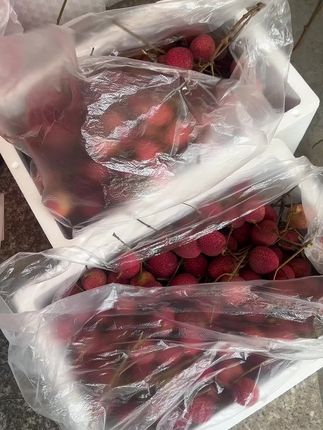 #快来一起尝个鲜 荔枝搬运工