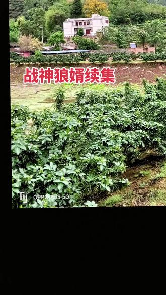 小说战神狼婿续集关注我每天更新精彩视频