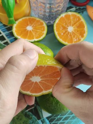 皮薄蜜桔 #应季水果 #水果 #新鲜采摘 #优质水果 #特产水果