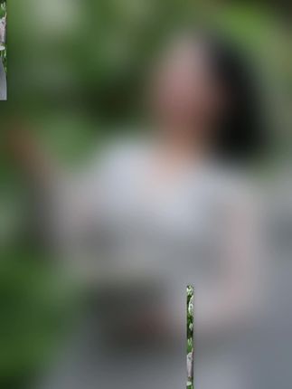 #一花一草一世界 从花开到花落 每一刻都是生命的礼赞和轮回的诗篇 #宁静时光 #简单的快乐就是幸福