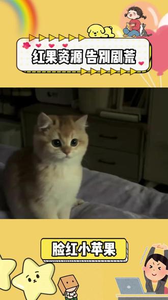 红果资源 告别剧荒 #红果短剧 #你的短剧搭子