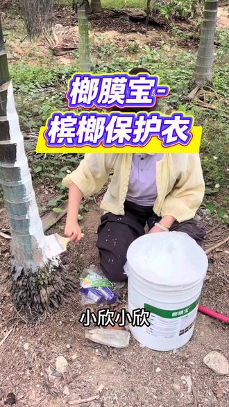 槟榔防旱防寒、防天牛、蜗牛、鼻涕虫就用榔膜宝#榔膜宝 #槟榔种植 #虫害防治
