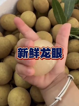 新鲜石硖龙眼个大饱满鲜甜多汁,现摘现发超新鲜坏果包赔,口感特别好#龙眼#石硖龙眼#储良龙眼#三农#新鲜采摘