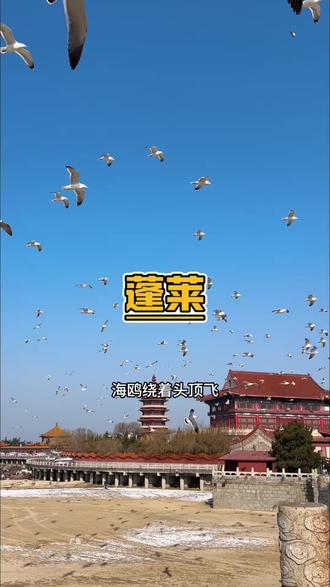 春节假期就来蓬莱,登高祈福沾八仙福气,带孩打卡欧乐堡海洋极地世界#蓬莱欧乐堡度假区 #旅行 #假期游玩 #亲子游玩好去处 #过年氛围提前搞起来了