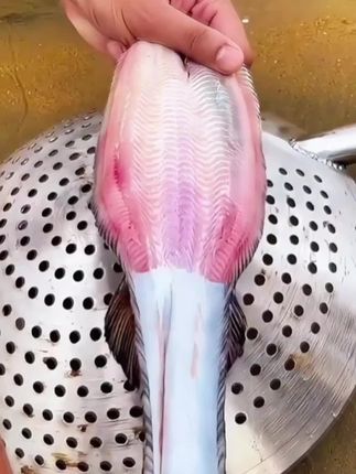 #煲汤日记 #滋补养生