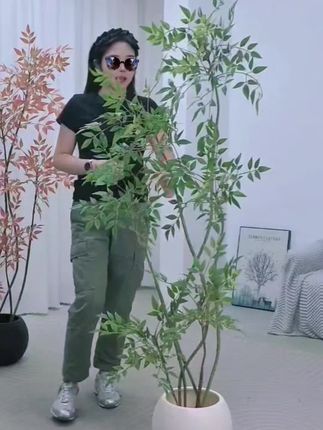 南天竹仿真植物盆景落地摆件仿生绿植大型假盆栽装饰仿真绿植 仿真绿植南天竹#仿真绿植#南天竹#绿植#绿植花卉 #软装搭配