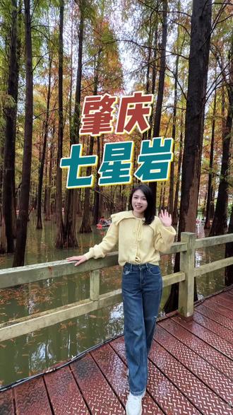 落羽杉美到失语❗️❗️七星岩的限定浪漫已上线!#心动七星岩#肇庆七星岩#落羽杉#广东旅游景点推荐 #旅行推荐官