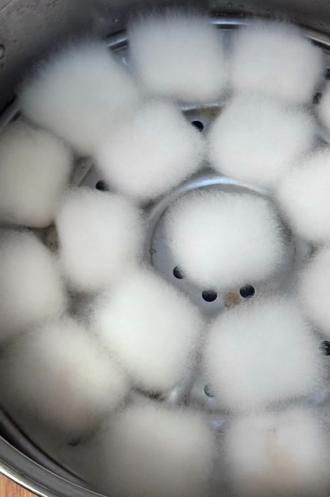 #做饭小技巧 #烹饪技巧 #美食 #霉豆腐 #生物小知识
其实是剧情版生物作业来的