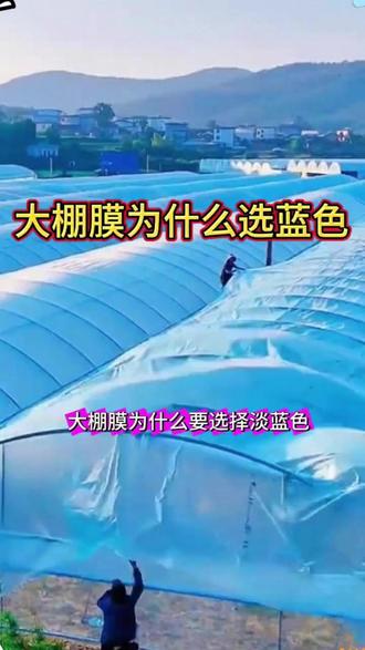 大棚膜 菜农们注意了,选对大棚膜很重要#花卉绿植 #种植 #大棚膜 #园艺