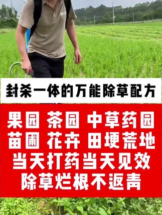 果园除草封杀一体 果园茶园中草药选,田埂荒地除草新配方,除草干净,烂叶烂根不返青 #精草胺膦胺盐 #果园除草 #死草烂叶烂根不返青