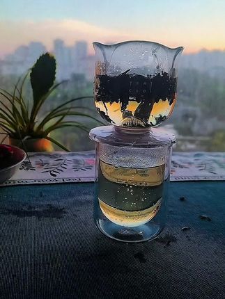 TEACOOL一人饮套装高档玻璃户外手冲茶旅行茶具Train材质简约时尚#原创视频 #每日一茶 #茶生活 #高端茶具 #泡茶 @DOU+上热门 @抖音创作者中心 @抖音小助手