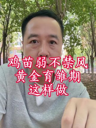 鸡雏不好养,育雏期做好这一步#养鸡小妙招 #肉鸡养殖 #育雏 #笼养肉鸡