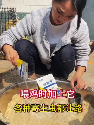 #农村散养土鸡 #养鸡技术 #农村土鸡 #养鸡人