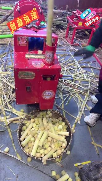 各位做水果的朋友,甘蔗生意累人吧?削皮削到手发麻,腰都直不起来,还总削不干净。别硬扛了。
试试这台机器——它只削硬皮,不伤果肉,边转边切,十秒一根。老太太都能轻松操作。你省下的不是力气,是能多跑两家批发市场的时间,是晚上能陪孩子写作业的精力。
我知道有人图便宜买过“铁疙瘩”,用三天修两天。但咱们做生意,工具不靠谱,丢的是口碑和客流。这台机器贵一点,但它让你敢接团单、不怕排队,甘蔗从最愁人的货变成最顺手的流水线。
#摆摊用甘蔗机 #店面用甘蔗机 #豫发2026款甘蔗削皮机 #新一代甘蔗削皮机 #甘蔗削皮机厂家联系电话