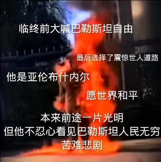 请记住他的名字:亚布·什内尔