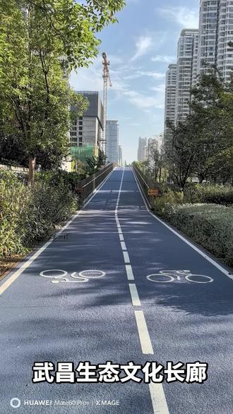 原武九铁路北环线修建于上世纪50年代,2000年以后,运输功能日益减弱并逐渐被替代。随着城市的发展,这条铁路割裂城市功能区,截断武昌、青山两区多条垂江道路,制约了城市重要功能区的发展。
2018年,在武汉市委、市政府统筹部署下,由武汉市城投集团所属铁投公司负责实施的武九铁路北环线搬迁工作实质动工。根据规划,武九铁路北环线搬迁后,复合利用腾退铁路用地,地上建设武昌生态文化长廊和月亮湾城市阳台等;地下建设武九综合管廊,将电力、热力、给水、通信、中水等管线集约其中。
在组织实施武九综合管廊建设的同时,同步对原武九铁路北环线割裂的道口及道路进行改造和建设,解决沿线全部垂江“断头路”“瓶颈路”问题。
#原创视频 #记录生活 #城市风光 #城市风景线