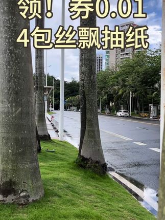 领!券后0.01四包!四包!四包!丝飘新款抽纸 #抽纸 #纸巾 #超便宜超划算