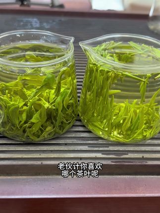 你更喜欢哪个茶叶呢#日照绿茶#日照市浏茗春农业有限公司
