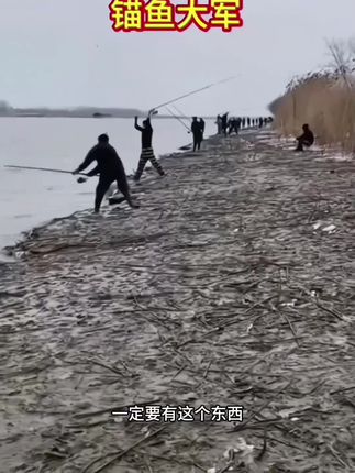要是你早点用上这款三爪锚钩,也不至于十路九空,高碳钢材质,钩尖锋利 #锚钩 #三爪锚钩 #三本钩 #路亚 #打海杆