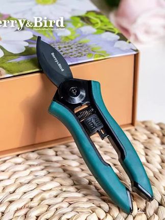 zhBerry&Bird花剪园花艺剪刀修枝剪嫰叶家用阳台花卉盆栽插花店省力#剪刀 #修枝剪 #花艺剪刀 #修枝剪刀 #修枝剪推荐