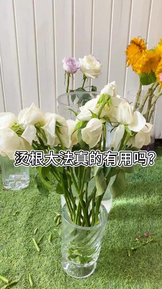 鲜花垂头怎么办?这个办法能让花花起死回生??
就是说,真的有用!!!!花瓣完全不蔫吧了!也不垂头了,感觉还能再战五百年!
但是就是不要揉到花瓣了,不然就会像我一样,花醒了,但是也丑④了😓#鲜花 #昆明 #鲜花养护 #养花 #花卉绿植