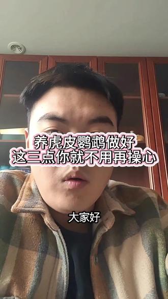 虎皮鹦鹉这样养就不会再突然暴毙了!#鹦鹉 #虎皮鹦鹉 #鹦鹉小白