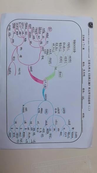 五年级上册第7单元语文思维导图