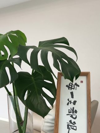#家居好物 视频#好物推荐🔥 #日常生活 #居家好物 搓脚板搓脚后跟死皮非常有用#搓脚板