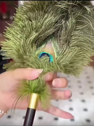 鸵鸟孔雀除尘掸子高档复古防静电家用鸡毛掸子加密清洁扫灰神器#清洁扫灰神器