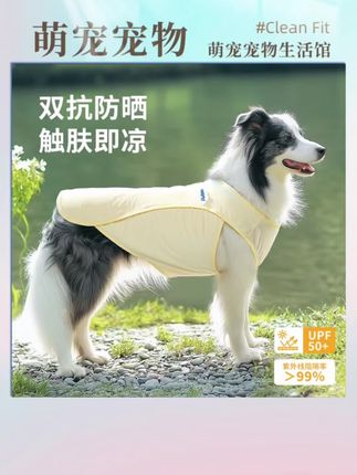#萌宠好物 #萌宠出道计划 #今日推荐#爆款热卖中#萌狗狗