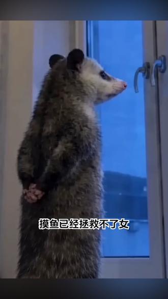 拍照神器荣耀600炫彩升级,女大学生的时尚首选 #荣耀600