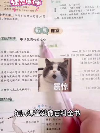 25秋小学状元大课堂语文数学英语同步课堂基础知识解析课堂练习#状元大课堂 #语文数学英语 #同步课堂 #基础知识 #课堂练习