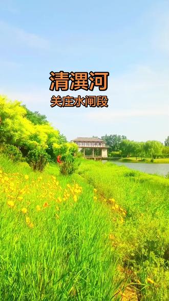 清潩河,源头在新郑市辛店镇风后岭白龙池(沟草园) ,全长149公里 ,经新郑、长葛、建安、魏都、临颍、鄢陵,最后在鄢陵与西华交界合河口汇入颍河 。长葛段从佛耳湖镇杜庄西南入境 ,到和尚桥镇关庄南出境 ,长20.1公里 。两岸水清岸绿,步道游园相连,绿树繁花,是咱长葛人休闲散步的好去处。#水系风景随拍