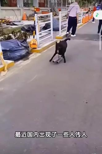 想给我儿子脖子上也挂一根🤣,你们想给谁挂呢?🤪