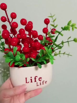 #好物推荐🔥 厂家搞活动啦!家里一定要放一盆红果,又叫发财果,寓意着日子越过越红火,事业蒸蒸日上。把它摆在客厅里,不仅美观大气,还特别喜庆,而且它不用胶水,也不用施肥,无论放在哪里都好看,无论是自己家摆放,还是送朋友、送长辈都是不错的选择,赶紧点击下方链接购买吧!#发财果摆件#爱生活爱分享