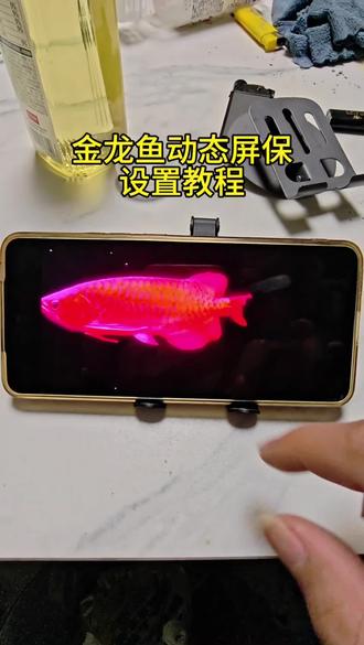 《金子工具》金龙鱼电视屏保下载和设置教程、电视养鱼教程,金龙鱼屏保下载教程,金龙鱼动态壁纸下载、金龙鱼4k超清全面屏。海信电视机屏保龙鱼设置教程,金龙鱼动态壁纸下载免费,TCL金龙鱼电视屏保设置教程,小米电视金龙鱼屏保设置教程,金龙鱼屏保高清4k下载教程, #电视养鱼教程 #电子养鱼 #电视屏保 #金龙鱼屏保 #电视屏保设置教程 电视养鱼,电子养鱼。金龙鱼电视屏保教程