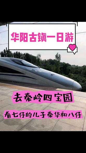 #dou上热门 抓住假期的尾巴,华阳古镇一日游。
早上8点半坐高铁🚄出发,到达洋县西后再转班车,11点终于到了华阳古镇! 直奔秦岭四宝园,景区对老人小孩很友好,全程都有景交车。每个小景点内也有车行路线,我们骑着滑板车很是方便👍
刚进秦岭四宝园就看到萌宠乐园,里面有很多动物🦓🐖🦚🐎🦔🐒……熊猫谷有三只熊猫🐼秦华、八仔、还有喜庆。由于是中午到的,秦华躲在后山睡觉了💤,只看到八仔和喜庆在吃竹子,之后又去看了金丝猴、羚牛、朱鹮。出了四宝园去参观了红二十五军司令部。
因为龙吟侠步行的路程有点多,带着孩子怕会累,就放弃啦。回程前在古镇溜达着逛逛,坐6点的班车,7点到达高铁站,稍作休息,准备回家🏠
#陕西秦岭 #秦岭大熊猫和它的朋友们 #秦岭四宝园 #华阳古镇