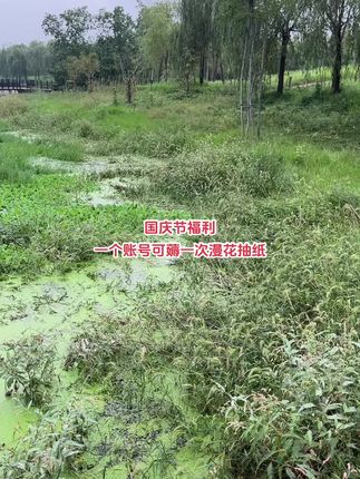 #生活用纸 #超便宜超划算 #漫花抽纸推荐