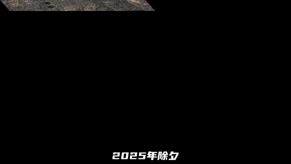 张雪500RR全解析,国产中仿新标杆。 #张雪500RR #机车 #抖音精选