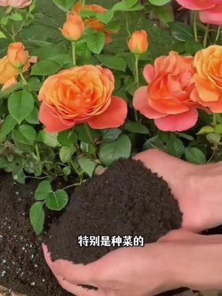 爸爸优秀孩子一定优秀,孩子80%的缺点都来源于爸爸#育儿经验分享 #家长必读 #父母课堂#亲子关系