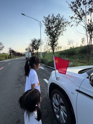 #无限回购的宝藏单品 #车载红旗摆件