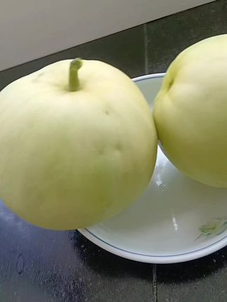 #创作灵感 老乡们,咱家的甜宝甜瓜已经成熟了,又香又甜,水分还很足,咬上一口嘎嘣脆,都是小时候的味道,让人吃一口就忘不了。它不仅口感清脆,而且香味扑鼻,特别适合夏天吃。如果你也喜欢吃这种好吃的甜瓜,那就赶紧下单吧,我给你发的都是这样的好品质!#好物推荐🔥 #应季水果 #健康水果 ##水果